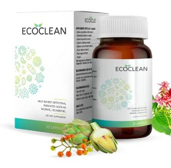 Ecoclean drug: capsules for parasites, where to buy in the Philippines, reviews, can it be used, what is it