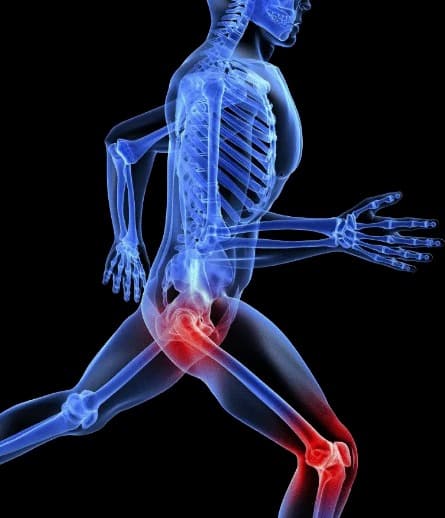 Herbex Joint कहां खरीदें