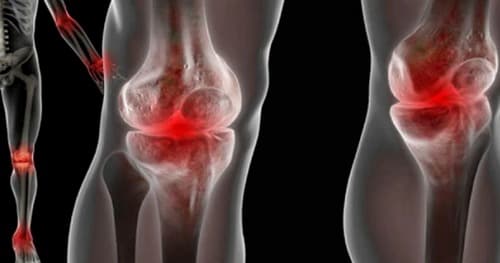 Flexibility cream कीमत क्या है